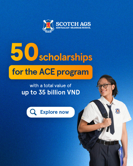 scholarship for the ACE prgram 2024